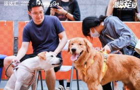 人宠互动赛事DoggyGo点亮宠物经济新未来—致力于为宠物提供更极致的赛事服务